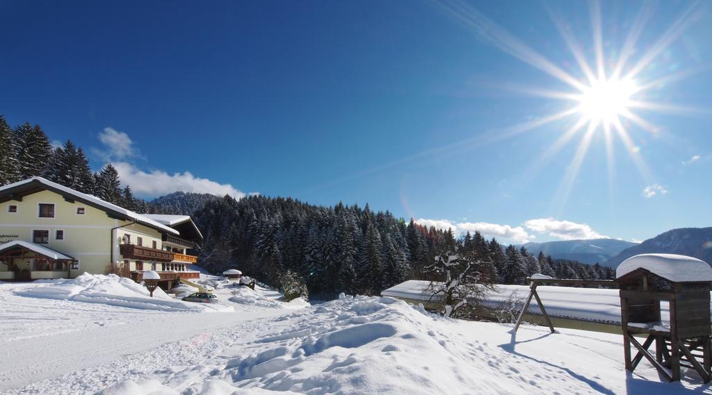 Alpenapartments Unterschlag Аннаберг-им-Ламмерталь Экстерьер фото