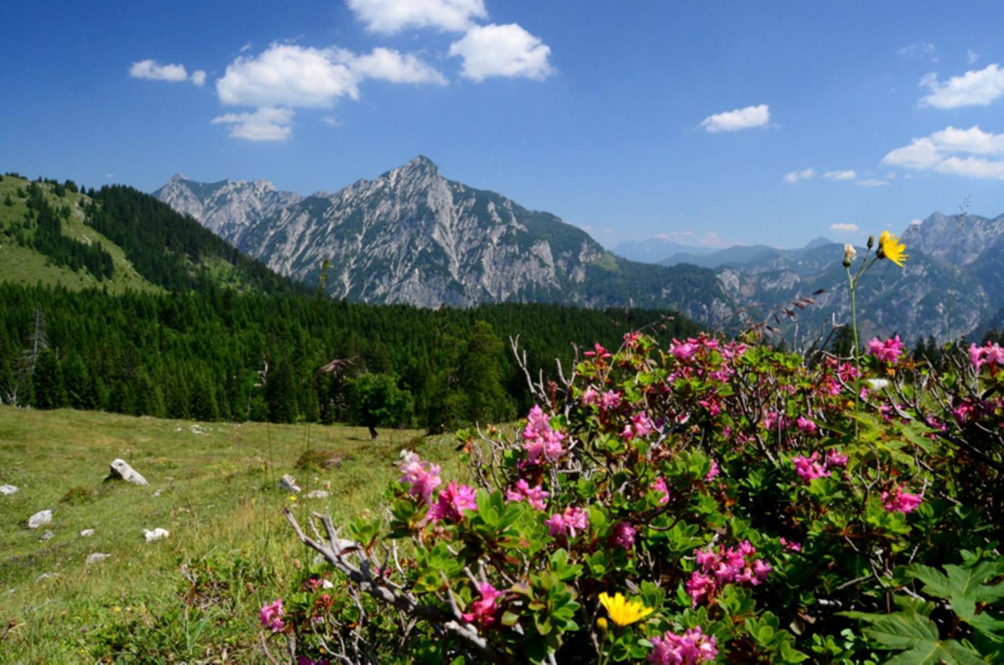 Alpenapartments Unterschlag Аннаберг-им-Ламмерталь Экстерьер фото